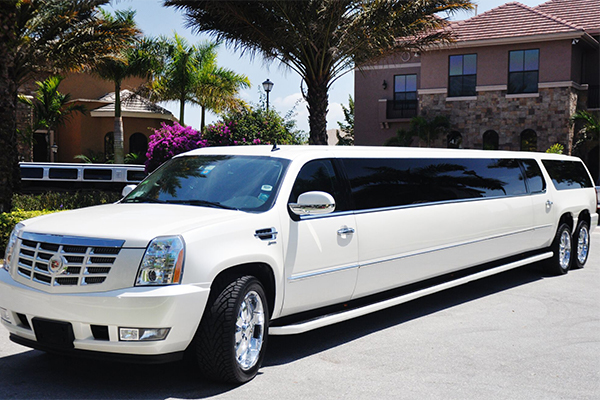 Birmingham 20 Passenger Limo